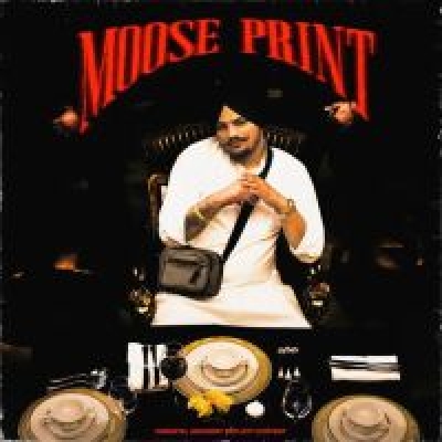 Moose Print